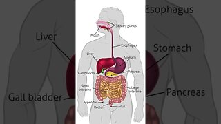Gallbladder cancer short Urdu video