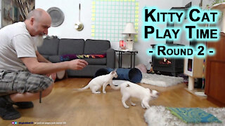 Kitty Cat Play Time: Round 2 - Playing with Sal and Veeya, Our Lilac Lynx Balinese Kittens