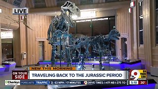 Natural history museum: Union Terminal reopens Saturday