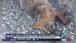 Health officials seek victims of rabid fox