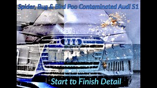 Filthy Neglected Audi S1 Get's Detailed | Start to Finish ASMR Detail!
