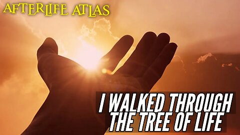 NDE: My Walk Through The Tree Of Life: Near Death Experience