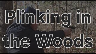 Plinking in the woods