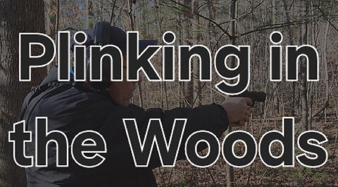 Plinking in the woods