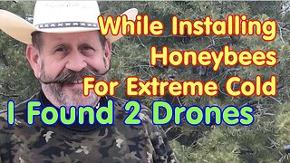 While shaking In HoneyBees for Extreme Cold Spring Weather, I found 2 Drones🐝