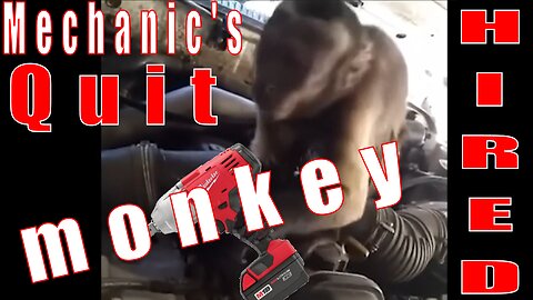 Monkey Mechanics