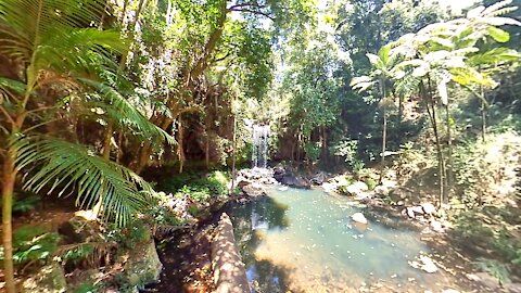 Curtis Falls at Mt Tamborine Gold Coast Hinterland, Australia