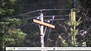 NV Energy customers on Mount Charleston prepare for potential power outages