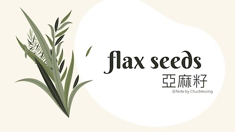 鸚鵡飲食日誌 Ep.3 || 亞麻籽 flax seeds || 發芽種子