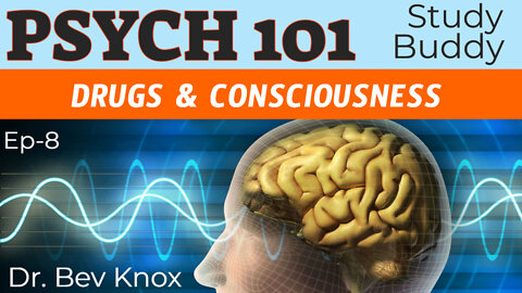 Drugs and Consciousness - Psych 101 “Study Buddy” Series