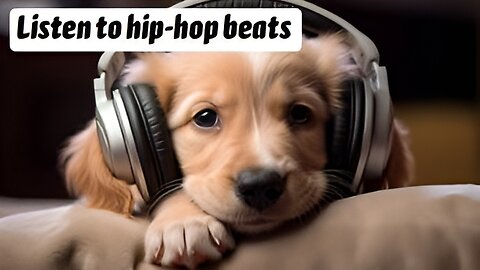 Hip Hop Monday | For Chill/Relax Hip Hop Beats [4K]