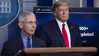 COVID Cases Rise; President Trump Hints At Firing Fauci