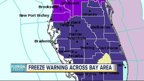 Freeze Warnings issued for Tampa Bay area