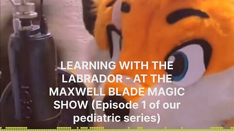 State of the Fandom - LEARNING WITH THE LABRADOR - AT THE MAXWELL BLADE MAGIC SHOW (Episode 1 of...