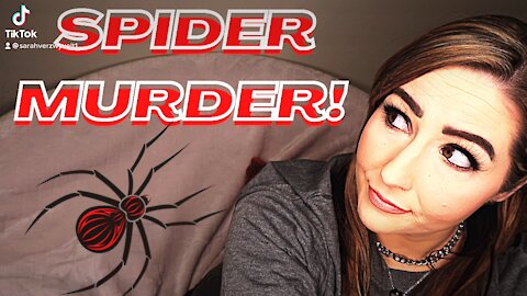 Spider Murder!