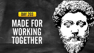 Made for Working Together - DAY 203 - The Daily Stoic 365 Devotional