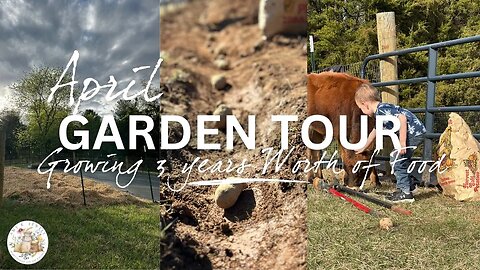 Growing Three Years Worth of Food in 1 Year | April Garden Tour 2023