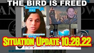 Situation Update 10.28.22: The Bird is Freed!