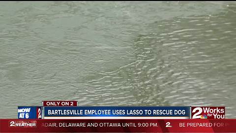 Bartlesville employee saves dog from icy river