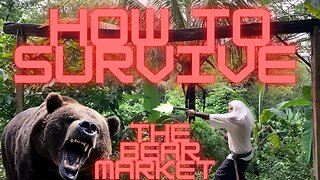How To Survive A Bear Market - And Get Rich When The Markets Go Up