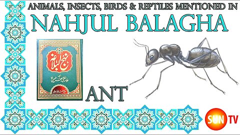 Ant - Animals, Insects, Reptiles & Amphibians in Nahjul Balagha (Peak of Eloquence) #imamali