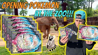 Opening Pokemon Cards AT THE ZOO!!