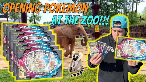 Opening Pokemon Cards AT THE ZOO!!