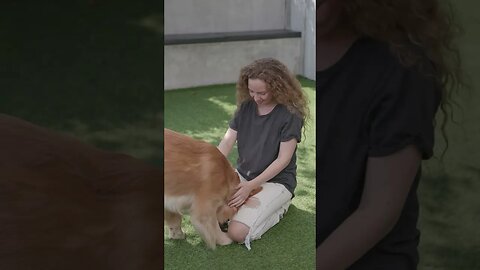 Woman Bonding with Pet Dog