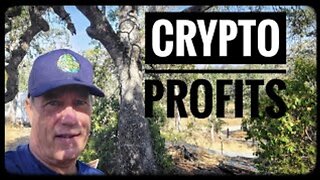 Crypto Profits, Legacy Stock Market vs Blockchain; THE REPORT?