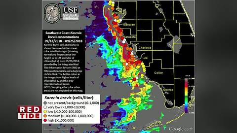 High concentrations of Red Tide remain off coast of Pinellas, Manatee and Sarasota Counties