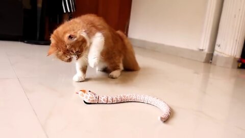 REMOTE CONTROL SNAKE VS CAT🤣🤣🤣 UNBOXINGDUDE!