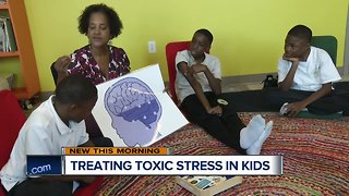 Children who have undergone trauma learn to deal with stress