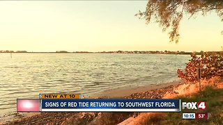 Red Tide lingering around Southwest Florida