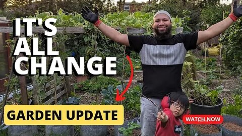 It's All Change - August Garden Tour - Jobs To Do In August In The Garden