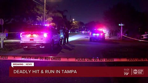 Bicyclist hit, killed by vehicle in Tampa, driver returns to scene, police say