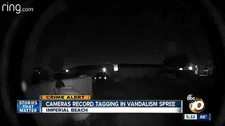 Cameras record tagging in Imperial Beach vandalism spree
