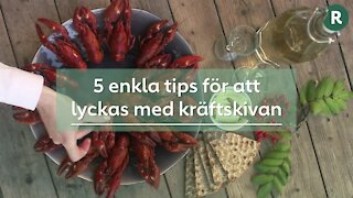 16:9 – 5 enkla tips för att lyckas med kräftskivan (1)