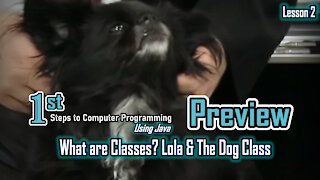 PREVIEW: What are Classes? Lola & The Dog Class