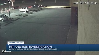 Hit and Run Investigation