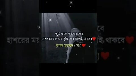 তুমি যাকে ভালোবাসবে, হাশরের ময়দানে তুমি তার সাথেই থাকবে।