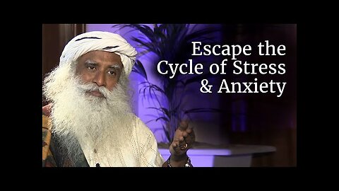 How to Escape the Cycle of Stress, Anxiety and Misery?