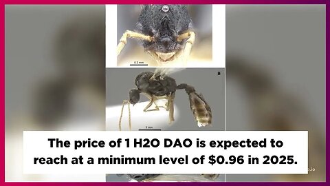 H2O DAO Price Prediction 2022, 2025, 2030 H2O Price Forecast Cryptocurrency Price Prediction