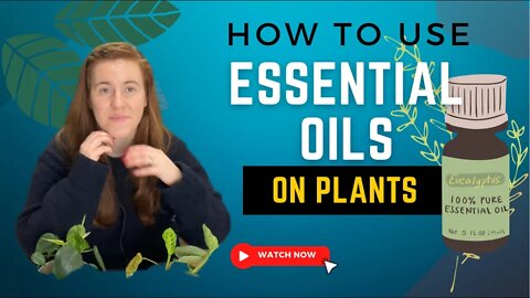 Can You Use Essential Oils To Treat Plants? How To Use Essential Oils To Prevent Fungi Build Up.