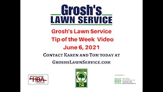 Landscaping Contractor Williamsport MD GroshsLawnService.com Video