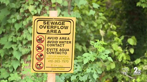 Section of Spa Creek in Annapolis closed due to sewage spill