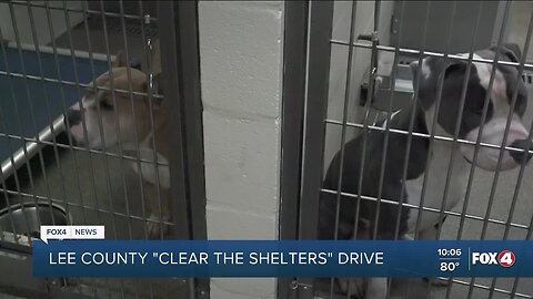 Lee County "Clear the Shelters" Drive