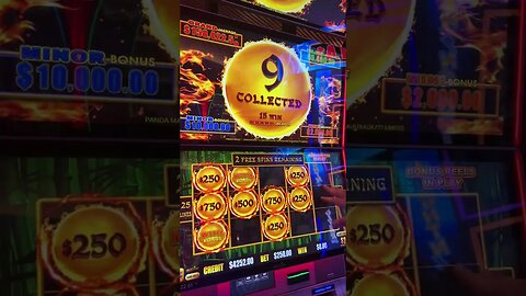 You Won't Believe What $250 Bet Pays! #casino #slots #gambling