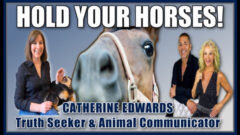 HOLD YOUR HORSES! w/ CATHERINE EDWARDS on Who is the Master, CrateTraining, Karmic Loops, Animal Telepathy, What They're Saying To Us, Solitary Confinement, Dog Clothes, Death, & more.