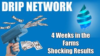 Drip Network - 4 Week in #animalfarm the results are shocking #dripnetwork #crypto