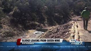 Lead Queen Mine leaking orange sludge, iced tea-colored liquid